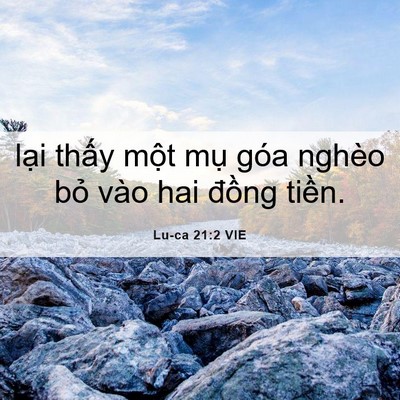 Picture 06 - Lu-ca 21:2 VIE - lại thấy một mụ góa nghèo bỏ vào hai - Bible Verse Picture