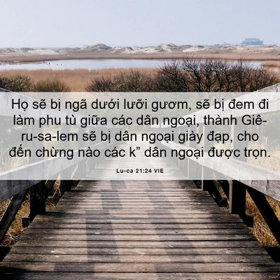 Picture 06 - Lu-ca 21:24 VIE - Họ sẽ bị ngã dưới lưỡi gươm, sẽ - Bible Verse Picture