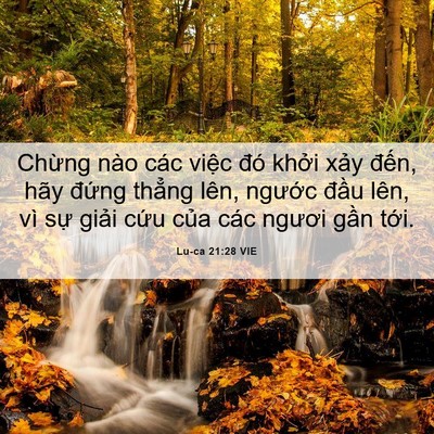 Picture 06 - Lu-ca 21:28 VIE - Chừng nào các việc đó khởi xảy - Bible Verse Picture