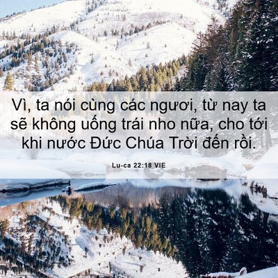 Picture 06 - Lu-ca 22:18 VIE - Vì, ta nói cùng các ngươi, từ nay ta sẽ - Bible Verse Picture