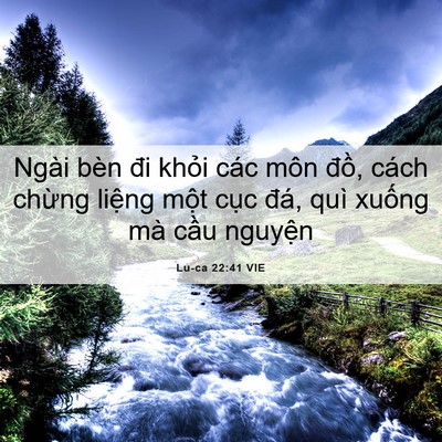 Picture 06 - Lu-ca 22:41 VIE - Ngài bèn đi khỏi các môn đồ, cách - Bible Verse Picture