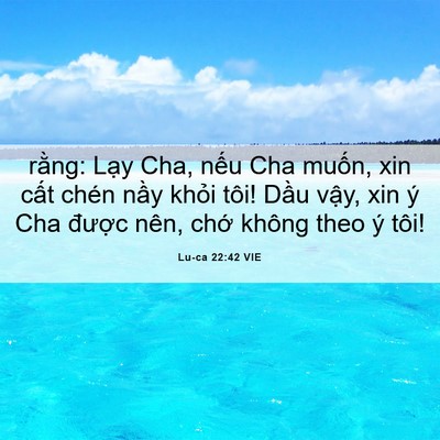 Picture 06 - Lu-ca 22:42 VIE - rằng: Lạy Cha, nếu Cha muốn, xin cất - Bible Verse Picture