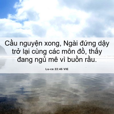 Picture 06 - Lu-ca 22:45 VIE - Cầu nguyện xong, Ngài đứng dậy trở - Bible Verse Picture