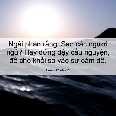 Picture 06 - Lu-ca 22:46 VIE - Ngài phán rằng: Sao các ngươi ngủ? Hãy - Bible Verse Picture