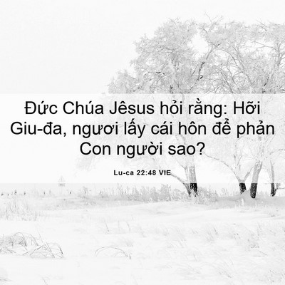 Picture 06 - Lu-ca 22:48 VIE - Đức Chúa Jêsus hỏi rằng: Hỡi Giu-đa, - Bible Verse Picture