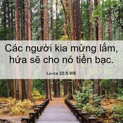 Picture 06 - Lu-ca 22:5 VIE - Các người kia mừng lắm, hứa sẽ cho - Bible Verse Picture