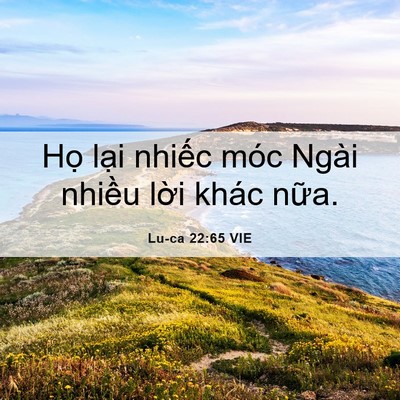 Picture 06 - Lu-ca 22:65 VIE - Họ lại nhiếc móc Ngài nhiều lời khác - Bible Verse Picture