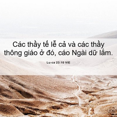 Picture 06 - Lu-ca 23:10 VIE - Các thầy tế lễ cả và các thầy thông - Bible Verse Picture