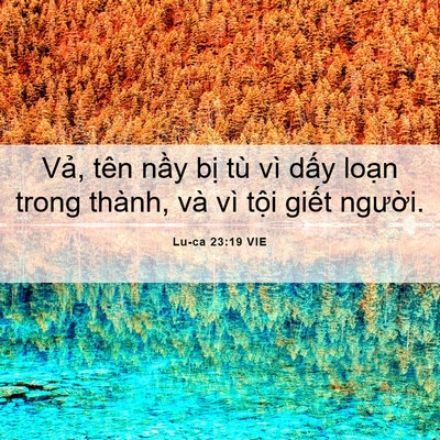 Picture 06 - Lu-ca 23:19 VIE - Vả, tên nầy bị tù vì dấy loạn trong - Bible Verse Picture