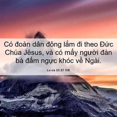 Picture 06 - Lu-ca 23:27 VIE - Có đoàn dân đông lắm đi theo Đức - Bible Verse Picture