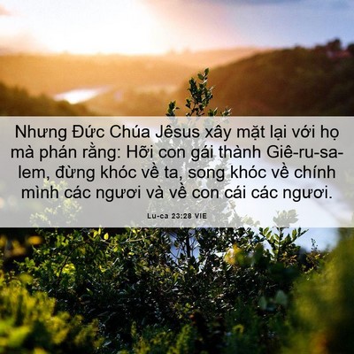 Picture 06 - Lu-ca 23:28 VIE - Nhưng Đức Chúa Jêsus xây mặt lại với - Bible Verse Picture