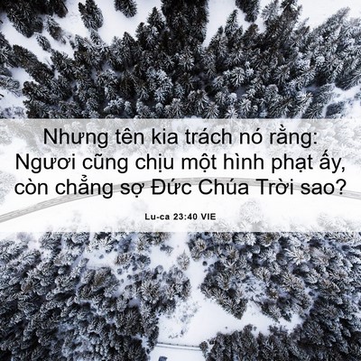 Picture 06 - Lu-ca 23:40 VIE - Nhưng tên kia trách nó rằng: Ngươi cũng - Bible Verse Picture