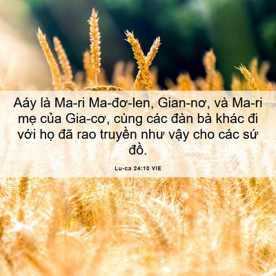 Picture 06 - Lu-ca 24:10 VIE - Aáy là Ma-ri Ma-đơ-len, Gian-nơ, và Ma-ri - Bible Verse Picture
