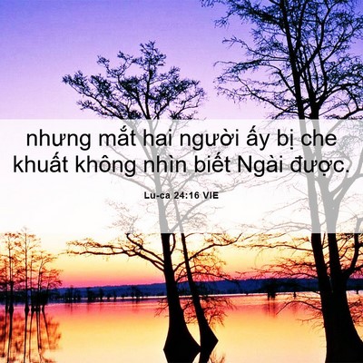 Picture 06 - Lu-ca 24:16 VIE - nhưng mắt hai người ấy bị che khuất - Bible Verse Picture