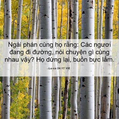 Picture 06 - Lu-ca 24:17 VIE - Ngài phán cùng họ rằng: Các ngươi đang - Bible Verse Picture
