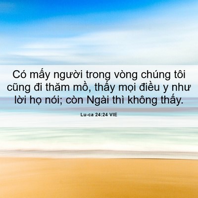 Picture 06 - Lu-ca 24:24 VIE - Có mấy người trong vòng chúng tôi cũng - Bible Verse Picture