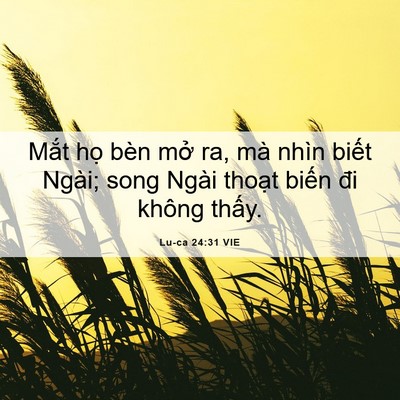 Picture 06 - Lu-ca 24:31 VIE - Mắt họ bèn mở ra, mà nhìn biết Ngài; - Bible Verse Picture