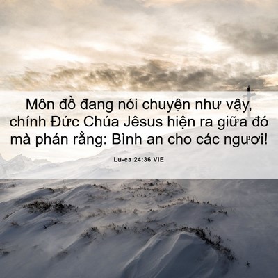 Picture 06 - Lu-ca 24:36 VIE - Môn đồ đang nói chuyện như vậy, chính - Bible Verse Picture