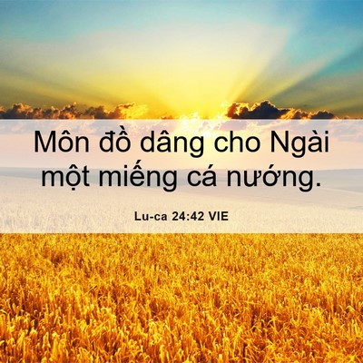 Picture 06 - Lu-ca 24:42 VIE - Môn đồ dâng cho Ngài một miếng cá - Bible Verse Picture