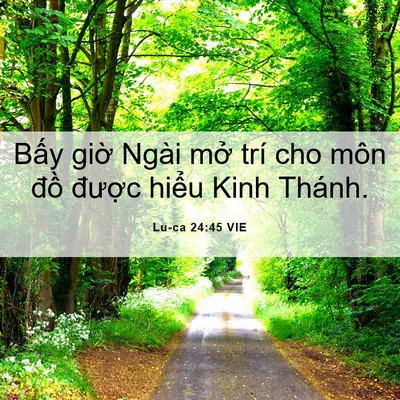 Picture 06 - Lu-ca 24:45 VIE - Bấy giờ Ngài mở trí cho môn đồ - Bible Verse Picture
