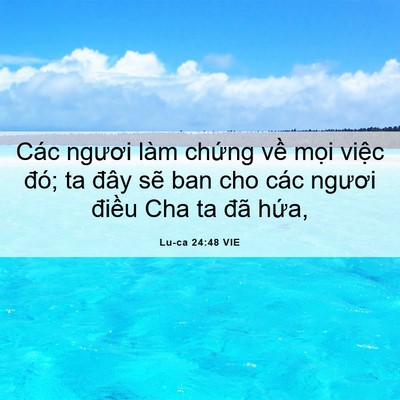 Picture 06 - Lu-ca 24:48 VIE - Các ngươi làm chứng về mọi việc đó; - Bible Verse Picture