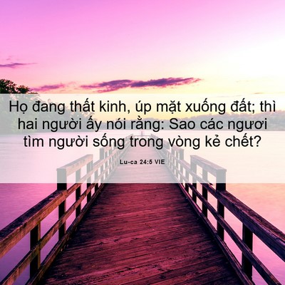 Picture 06 - Lu-ca 24:5 VIE - Họ đang thất kinh, úp mặt xuống đất; - Bible Verse Picture