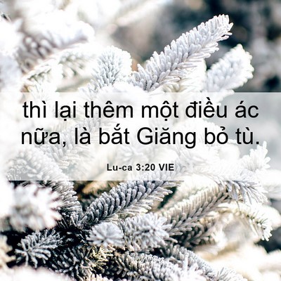 Picture 06 - Lu-ca 3:20 VIE - thì lại thêm một điều ác nữa, là - Bible Verse Picture