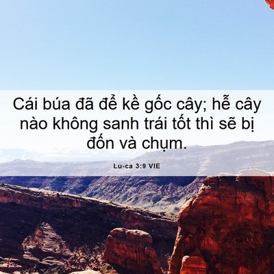 Picture 06 - Lu-ca 3:9 VIE - Cái búa đã để kề gốc cây; hễ cây - Bible Verse Picture