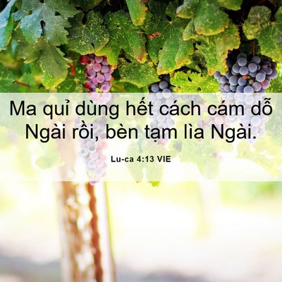 Picture 06 - Lu-ca 4:13 VIE - Ma quỉ dùng hết cách cám dỗ Ngài rồi, - Bible Verse Picture