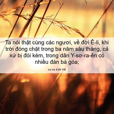 Picture 06 - Lu-ca 4:25 VIE - Ta nói thật cùng các ngươi, về đời - Bible Verse Picture