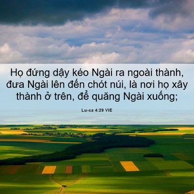 Picture 06 - Lu-ca 4:29 VIE - Họ đứng dậy kéo Ngài ra ngoài thành, - Bible Verse Picture