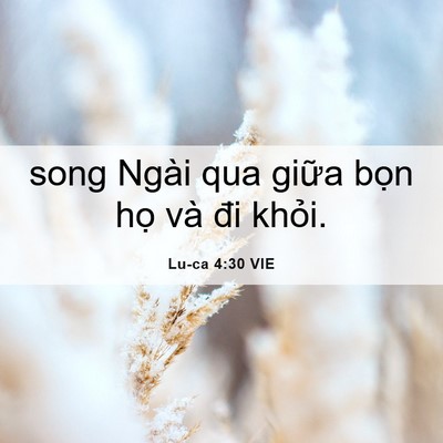 Picture 06 - Lu-ca 4:30 VIE - song Ngài qua giữa bọn họ và đi - Bible Verse Picture