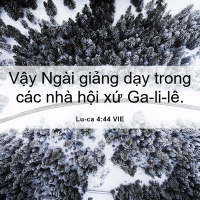 Picture 06 - Lu-ca 4:44 VIE - Vậy Ngài giảng dạy trong các nhà hội - Bible Verse Picture