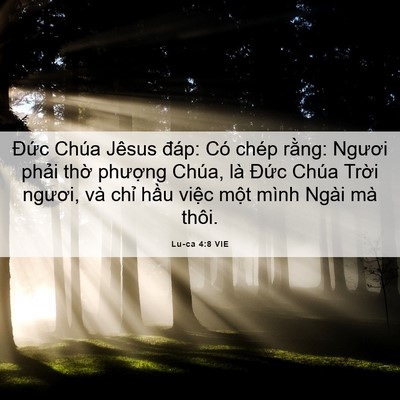 Picture 06 - Lu-ca 4:8 VIE - Đức Chúa Jêsus đáp: Có chép rằng: - Bible Verse Picture