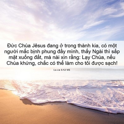 Picture 06 - Lu-ca 5:12 VIE - Đức Chúa Jêsus đang ở trong thành kia, - Bible Verse Picture