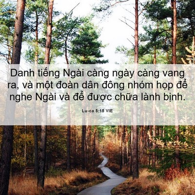 Picture 06 - Lu-ca 5:15 VIE - Danh tiếng Ngài càng ngày càng vang ra, và - Bible Verse Picture