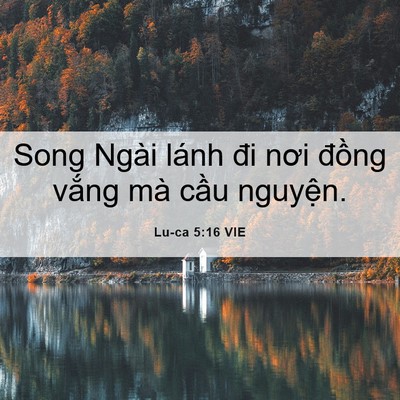 Picture 06 - Lu-ca 5:16 VIE - Song Ngài lánh đi nơi đồng vắng mà - Bible Verse Picture