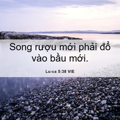 Picture 06 - Lu-ca 5:38 VIE - Song rượu mới phải đổ vào bầu - Bible Verse Picture