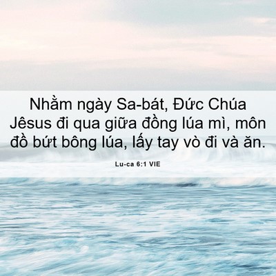 Picture 06 - Lu-ca 6:1 VIE - Nhằm ngày Sa-bát, Đức Chúa Jêsus đi qua - Bible Verse Picture