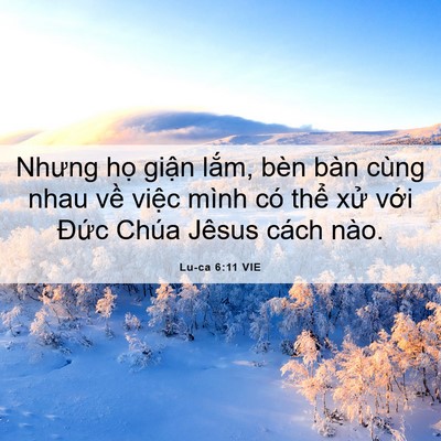 Picture 06 - Lu-ca 6:11 VIE - Nhưng họ giận lắm, bèn bàn cùng nhau - Bible Verse Picture