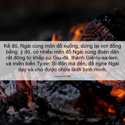 Picture 06 - Lu-ca 6:17 VIE - Kế đó, Ngài cùng môn đồ xuống, dừng - Bible Verse Picture