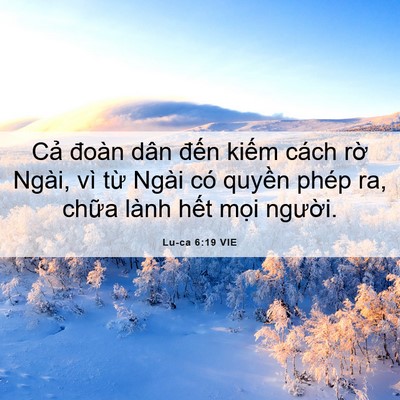 Picture 06 - Lu-ca 6:19 VIE - Cả đoàn dân đến kiếm cách rờ Ngài, - Bible Verse Picture