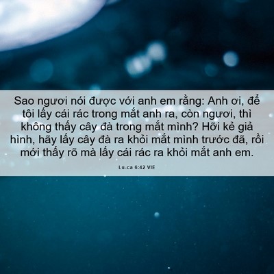 Picture 06 - Lu-ca 6:42 VIE - Sao ngươi nói được với anh em rằng: - Bible Verse Picture