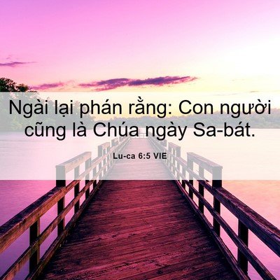 Picture 06 - Lu-ca 6:5 VIE - Ngài lại phán rằng: Con người cũng là - Bible Verse Picture