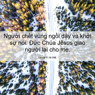 Picture 06 - Lu-ca 7:15 VIE - Người chết vùng ngồi dậy và khởi - Bible Verse Picture