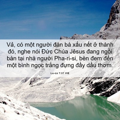 Picture 06 - Lu-ca 7:37 VIE - Vả, có một người đàn bà xấu nết - Bible Verse Picture