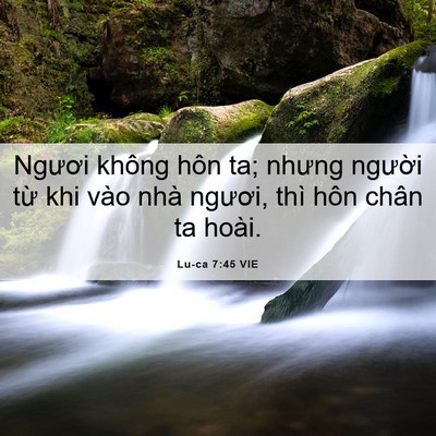 Picture 06 - Lu-ca 7:45 VIE - Ngươi không hôn ta; nhưng người từ khi - Bible Verse Picture