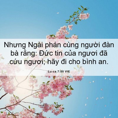 Picture 06 - Lu-ca 7:50 VIE - Nhưng Ngài phán cùng người đàn bà - Bible Verse Picture