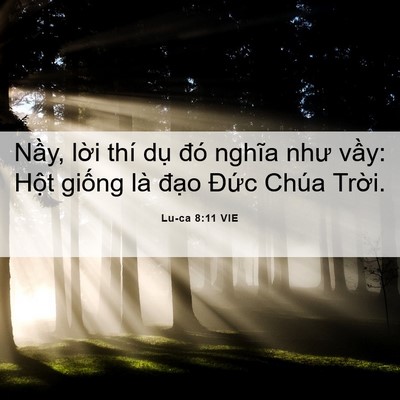 Picture 06 - Lu-ca 8:11 VIE - Nầy, lời thí dụ đó nghĩa như vầy: - Bible Verse Picture