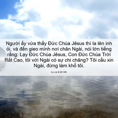 Picture 06 - Lu-ca 8:28 VIE - Người ấy vừa thấy Đức Chúa Jêsus - Bible Verse Picture